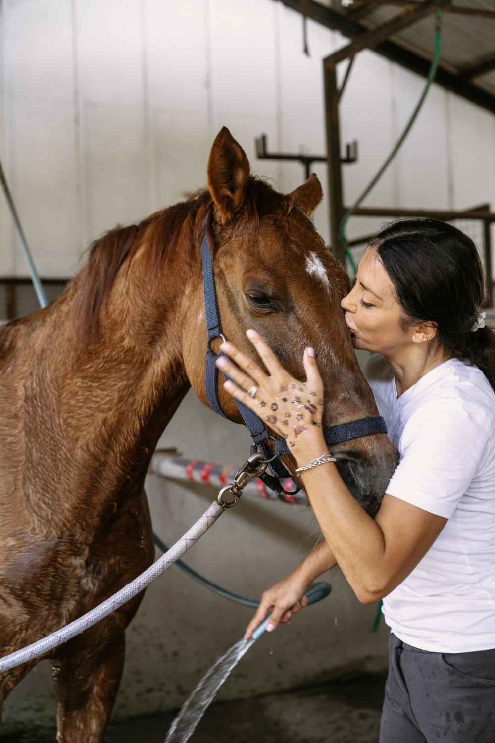 La veterinaria equina especializada